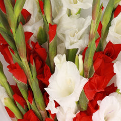 Simply Bright Bouquet - TCS SentimentsExpress