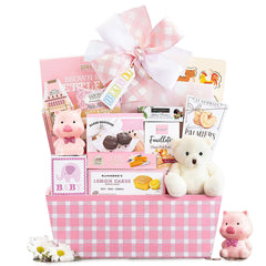 Celebrate New Life Gift Basket (Girl)