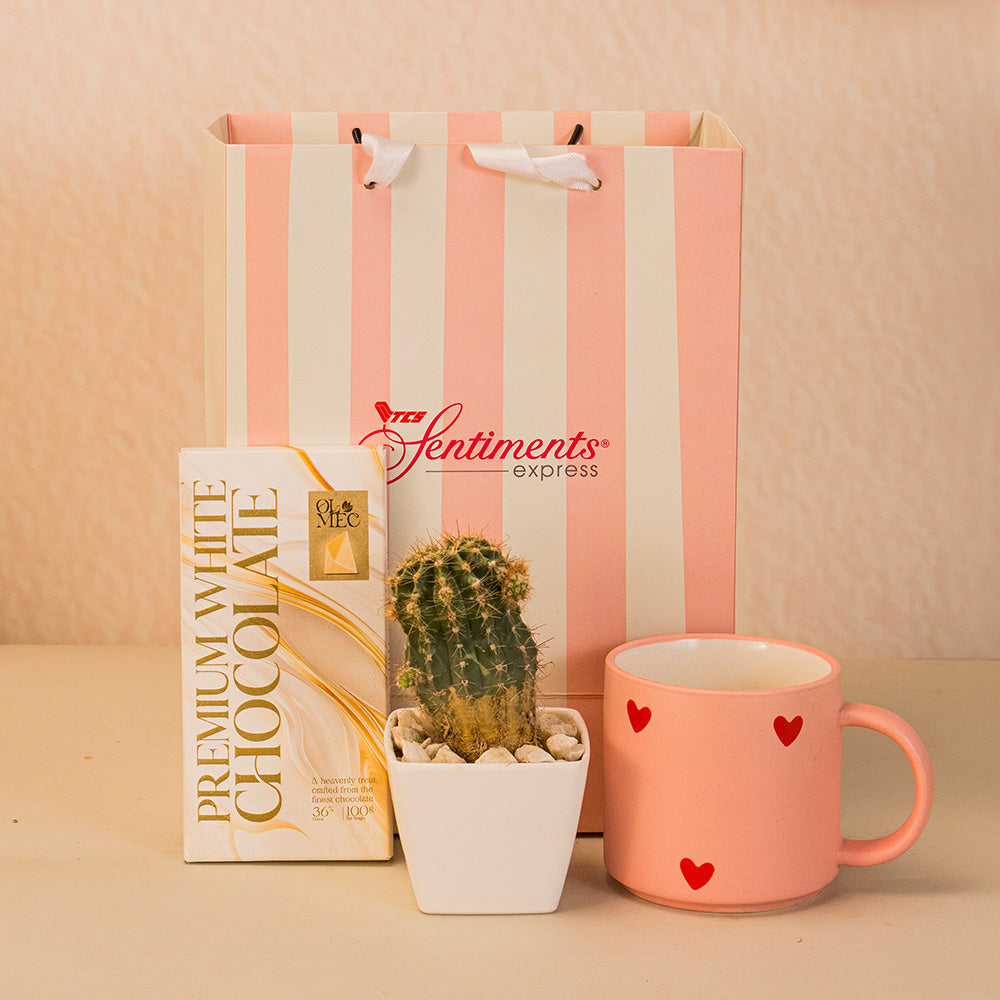 Cheering for You Gift Bag