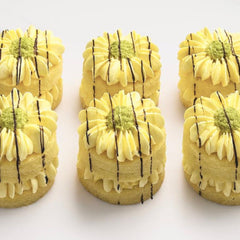 DXB Vanilla Cookies Box