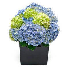 Hydrangea Mixed Bouquet