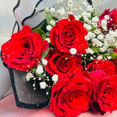 Petal Promises - TCS SentimentsExpress