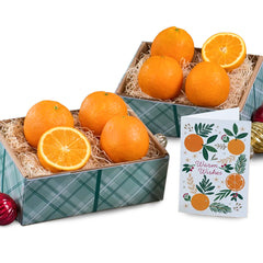 Sunburst Citrus Tower Gift Set