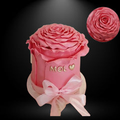 The Giant Rose 3D Cake 3 LBS
