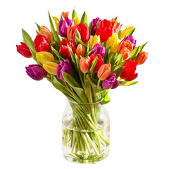 Tulip Symphony Bouquet