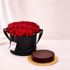 Where Feelings Begin