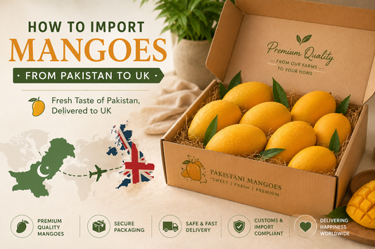 How to Import Mangoes from Pakistan to UK: A Complete Guide