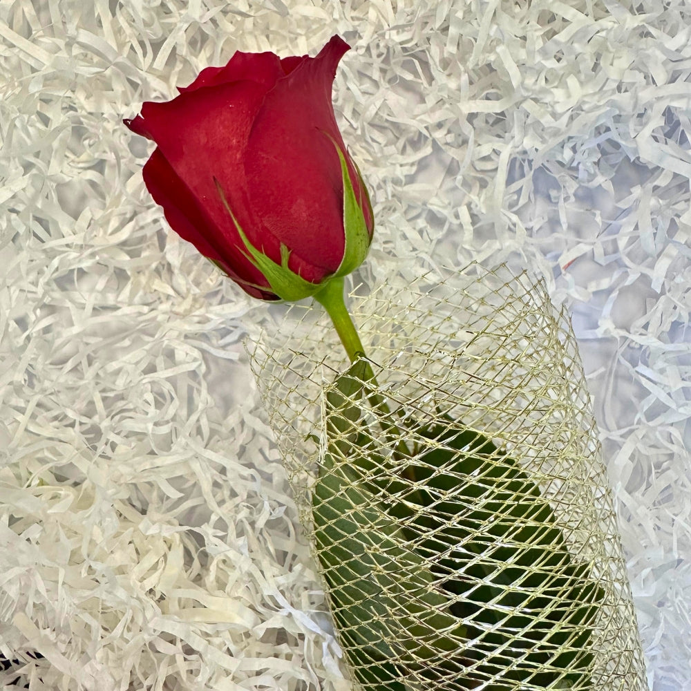 Just For You, With Love - TCS SentimentsExpress