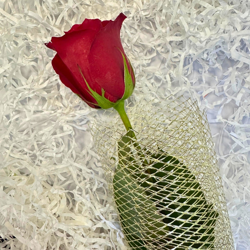 A Rose to Remember