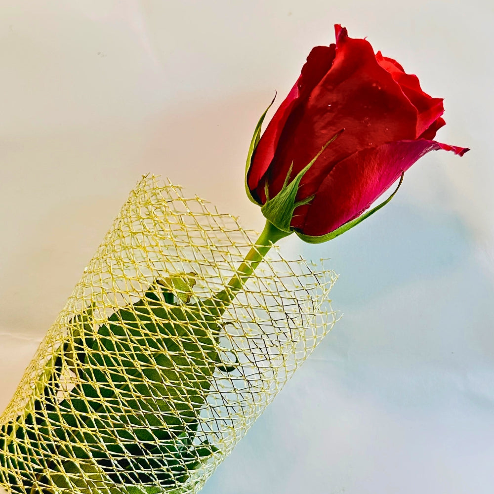 The One For You - TCS SentimentsExpress