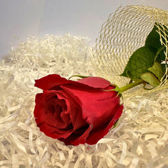 One Rose, Endless Love