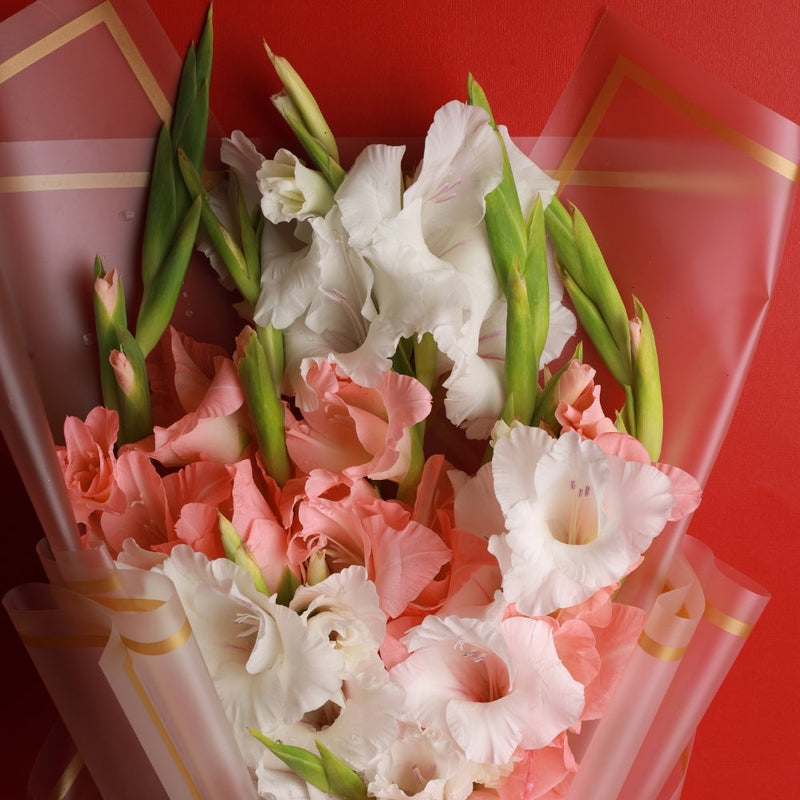 Pink Pastel Bouquet - Pink and White Gladiolus - Same Day Delivery