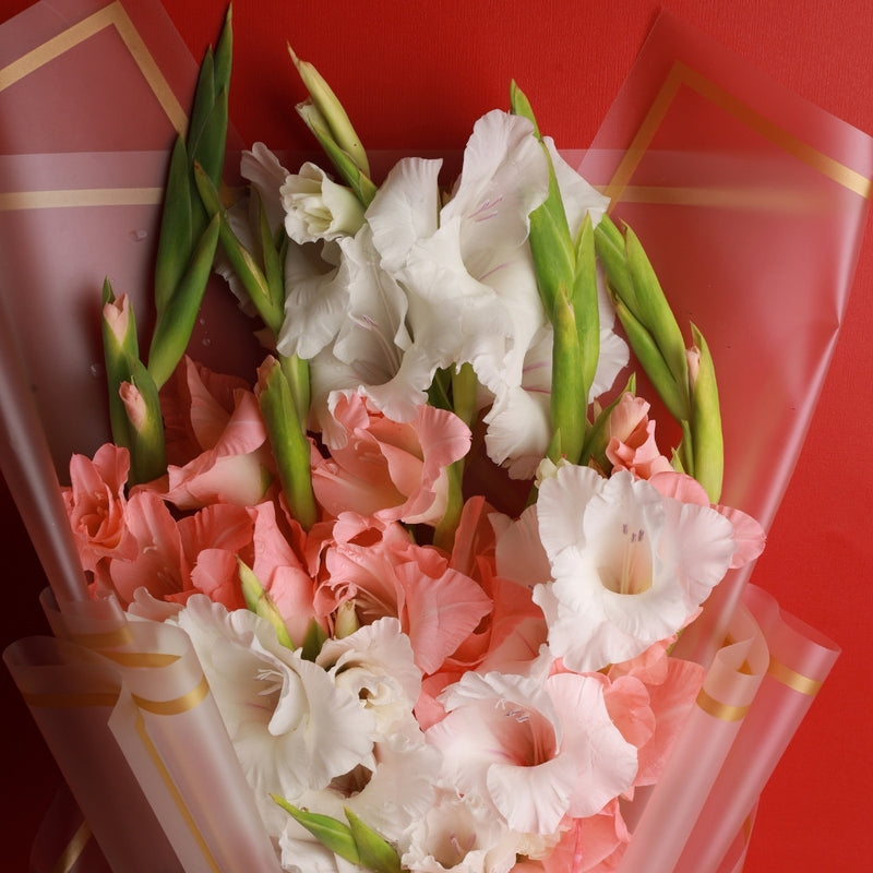 Pink Pastel Bouquet - Pink and White Gladiolus