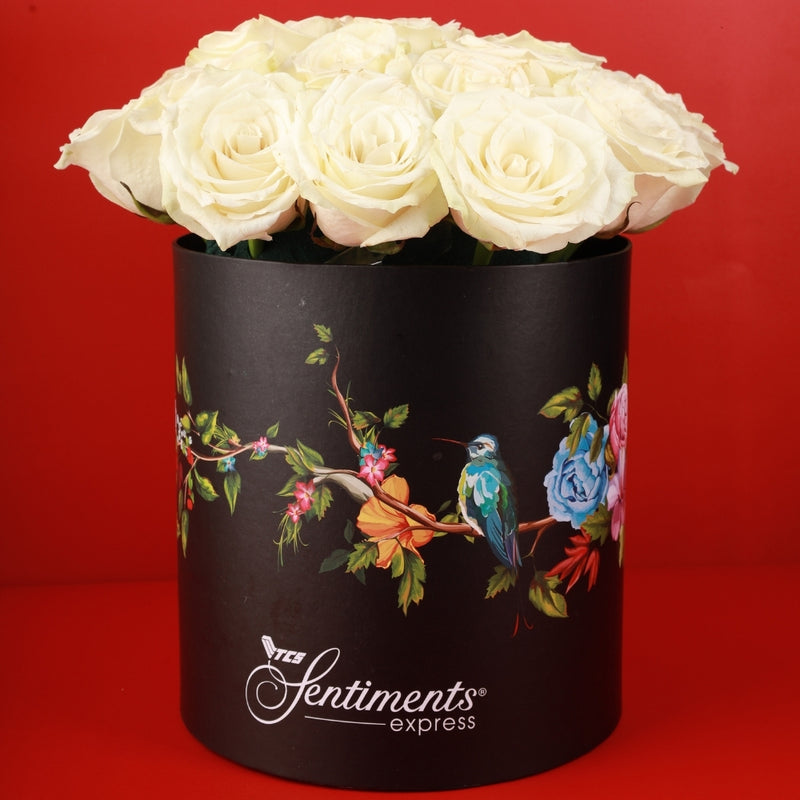 Golden Glow Box - White Roses