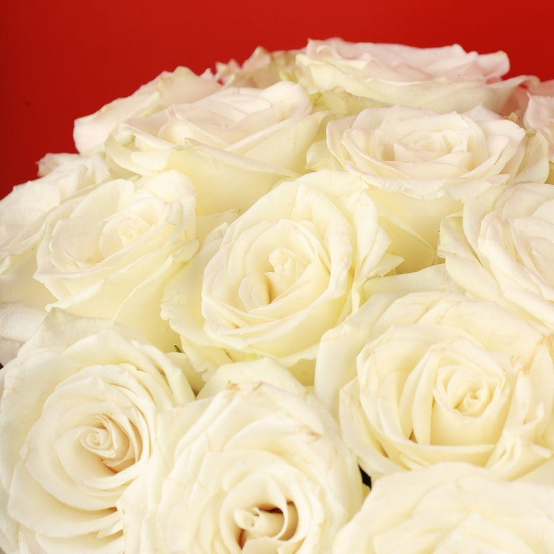 Golden Glow Box - White Roses