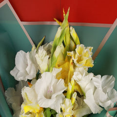 Vibrant Bouquet - Yellow Gladiolus - TCS SentimentsExpress