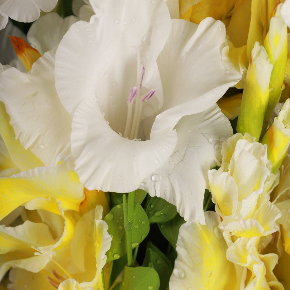 Vibrant Bouquet - Yellow Gladiolus - TCS SentimentsExpress