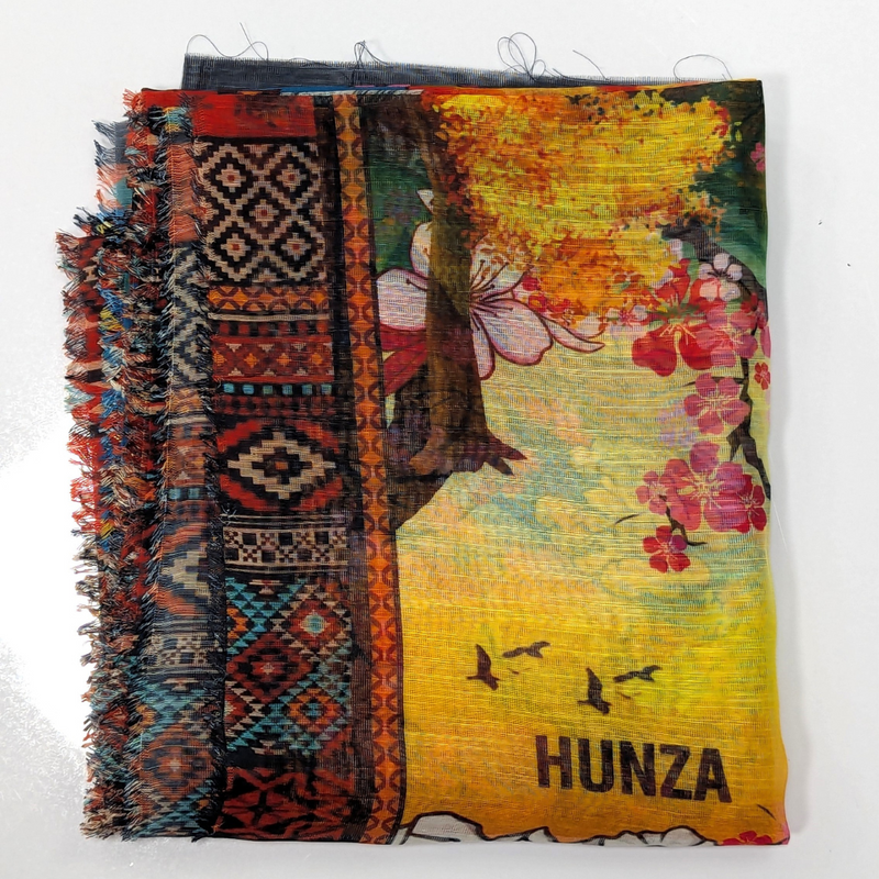 Hunza Landscape Dupatta by Zaymal