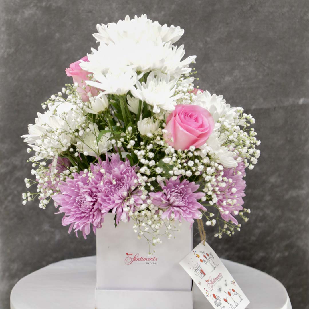 Pretty Pastels - TCS SentimentsExpress