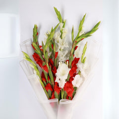 Simply Bright Bouquet - TCS SentimentsExpress
