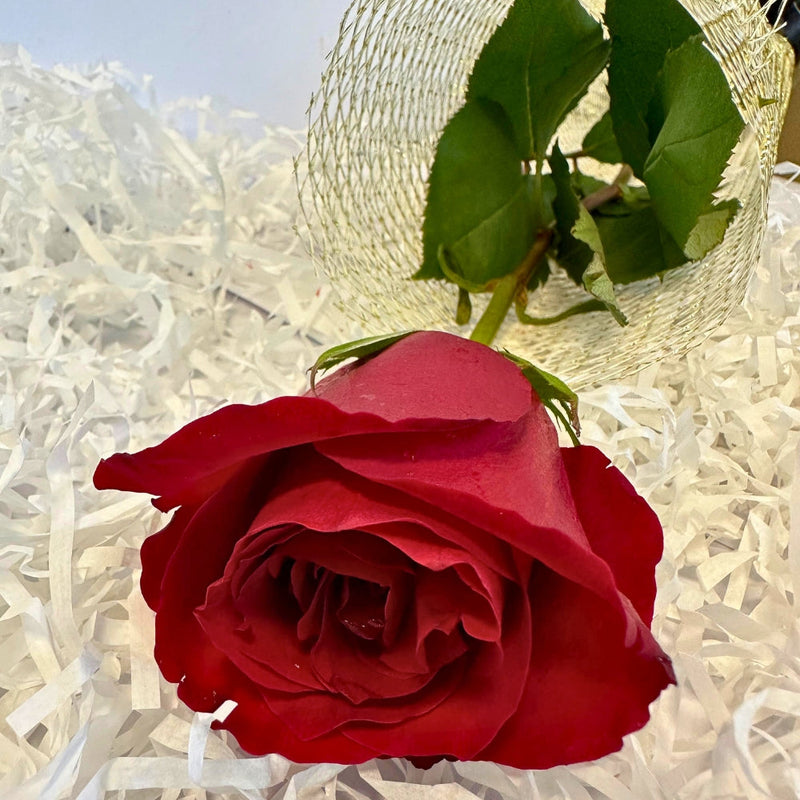 A Rose to Remember