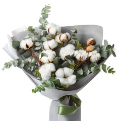 Cotton Cloud Elegance