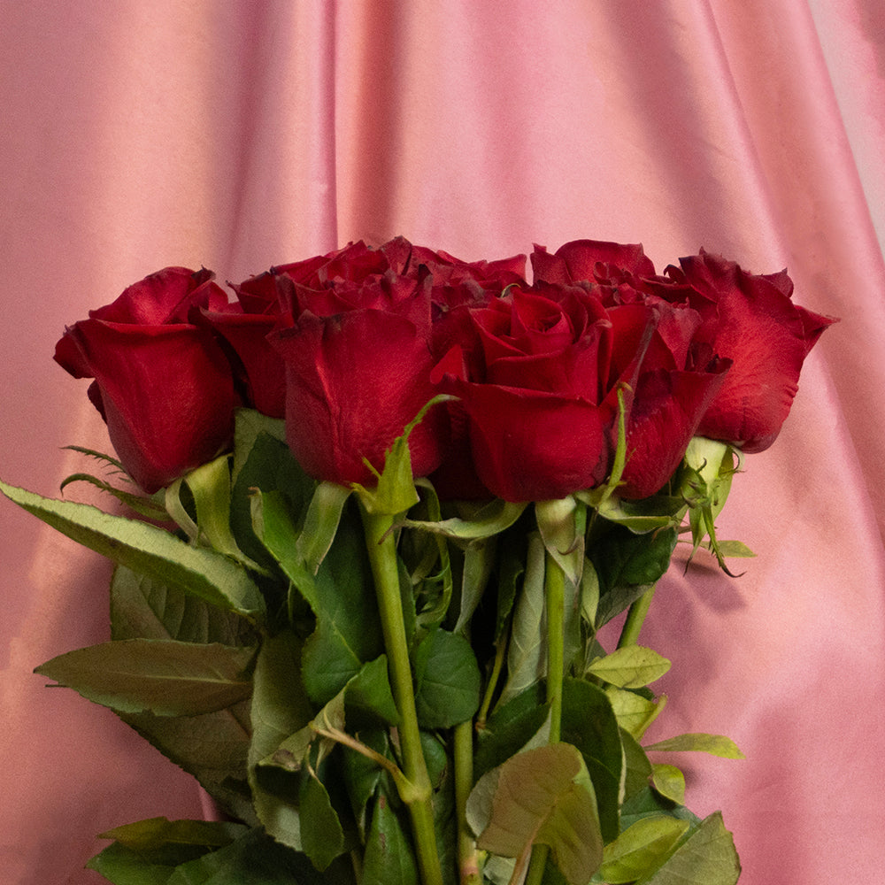 Pearl Rose Bouquet - Roses - TCS SentimentsExpress