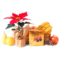 Fruity Poinsettia and Chocolates - UK