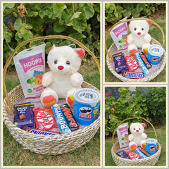 Chocolate Lovers Delight Basket - TCS SentimentsExpress