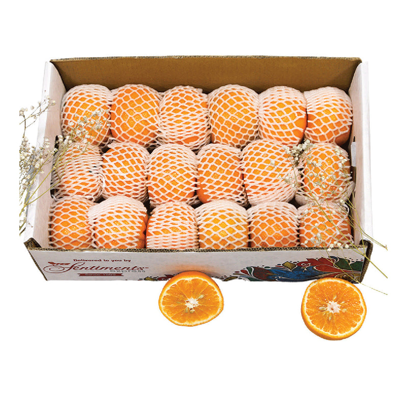 Orange Box (7kg - 8kg)