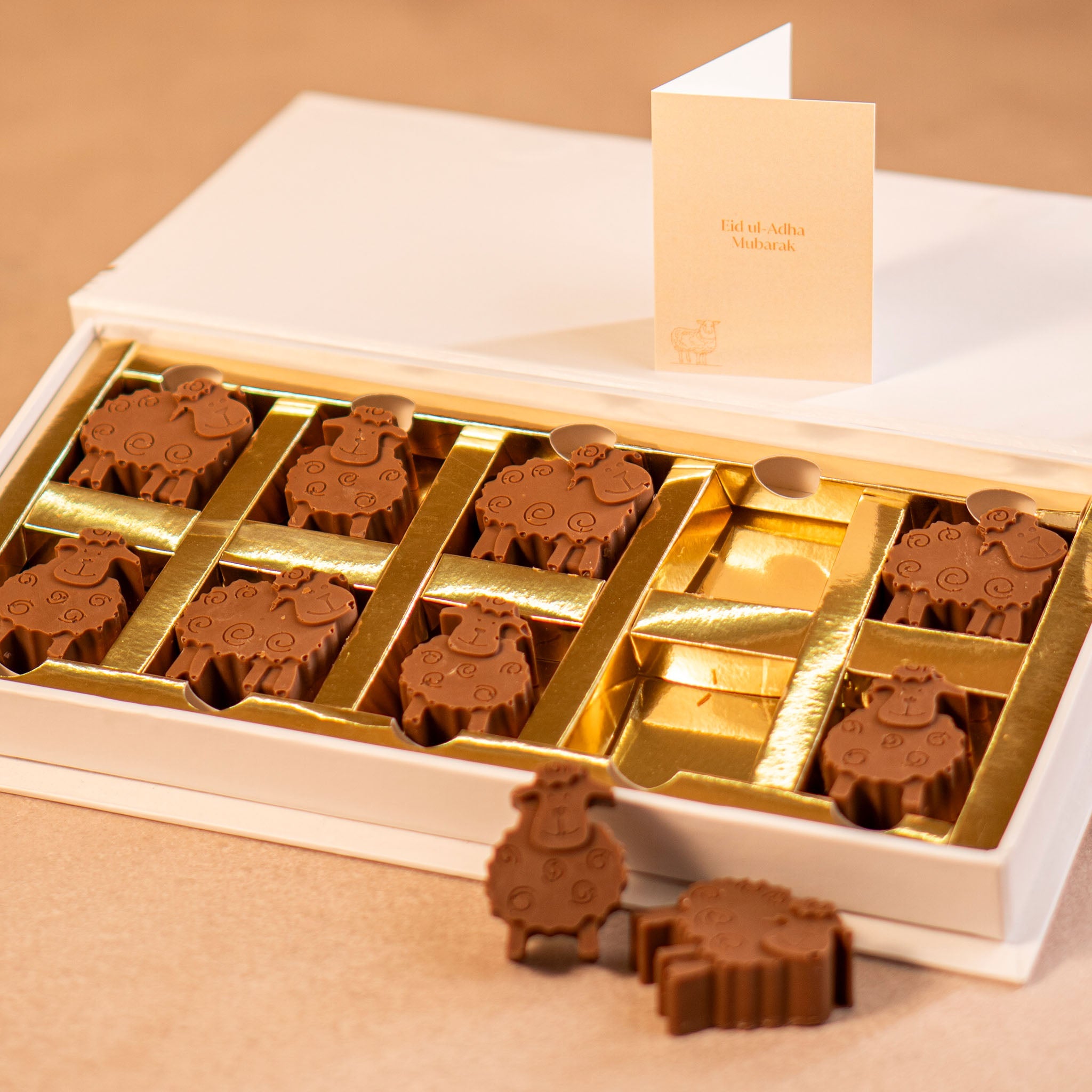 Mary's Little Lamb Box of 10
