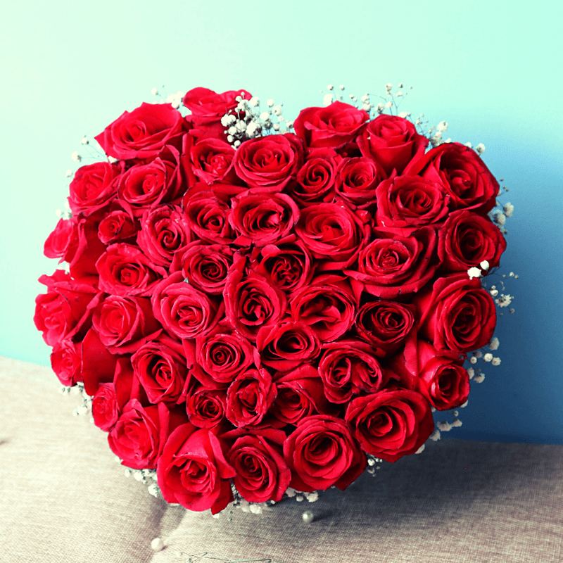 True Love - Local Red Roses