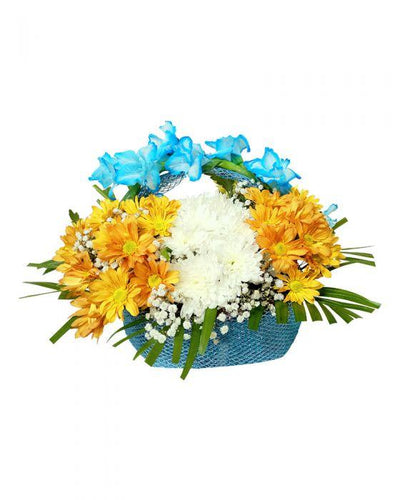 Baby Boy Imported Flower Basket - TCS Sentiments Express